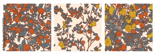 Citrus trees victorian morris style wallpaper. Provence orchard pattern set of three illustrations. Luxurious sunny fruit print