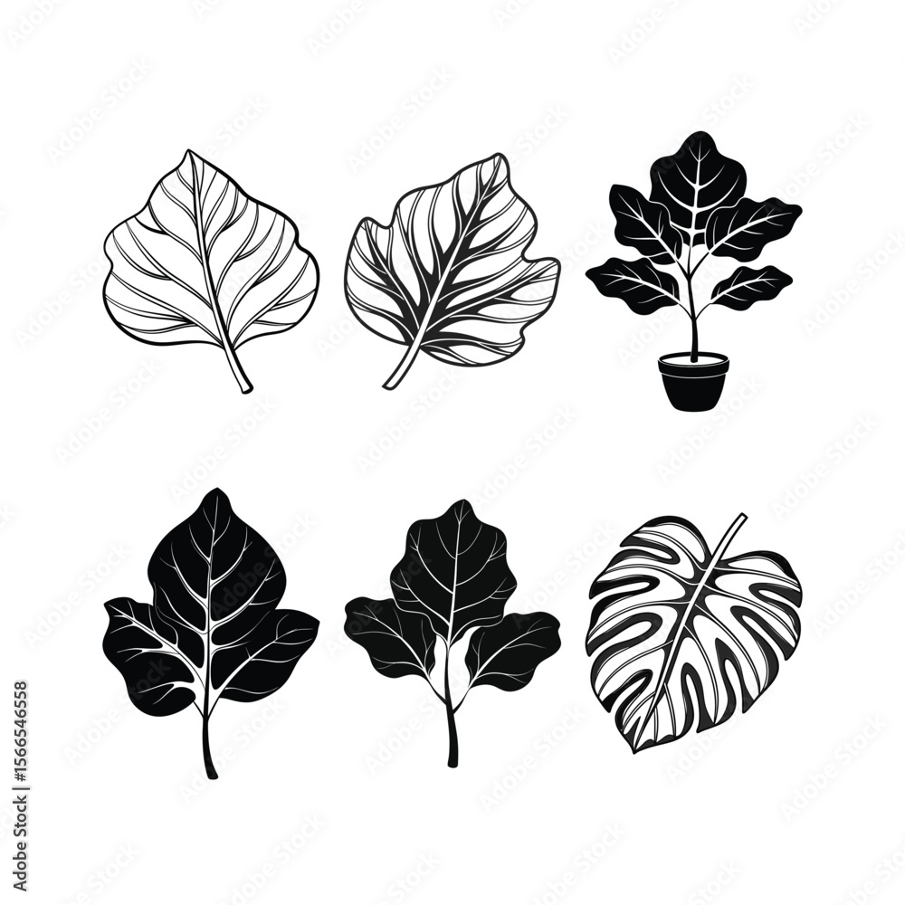 Black and White Tropical Leaves and Plant Vector Illustration Set Black and White Tropical Leaves and Plant Vector Illustration Set