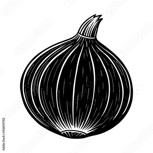 A striking black and white woodcut style illustration of a single whole onion isolated on a white background