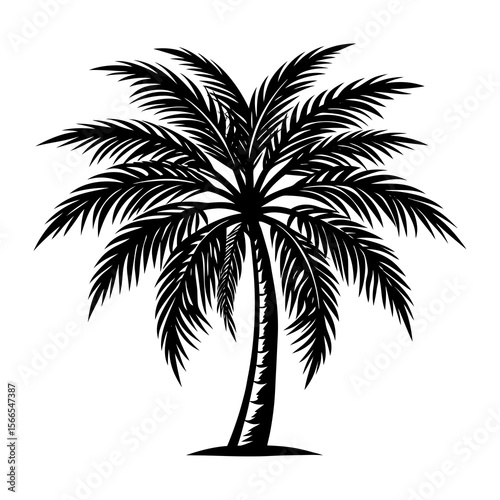 A striking black silhouette of a mature palm tree with lush fronds isolated on a clean white background evoking tropical vibes