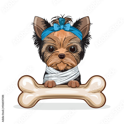 Cute Yorkshire Terrier Dog Cartoon with a Bone and Bandage