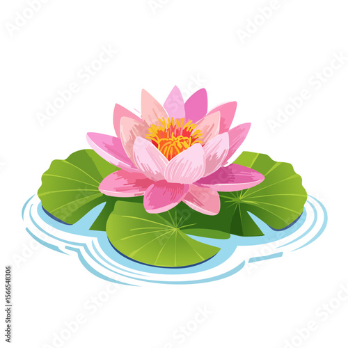 Pink Lotus Flower Blooming on Water Lily Pads Illustration