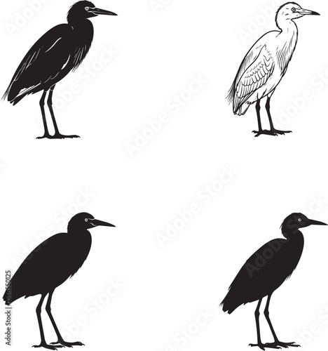Cattle Egret Silhouettes