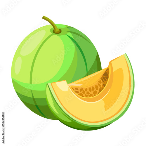 Honeydew Melon Vector PNG - Fresh Sliced Fruit Illustration, Transparent Background