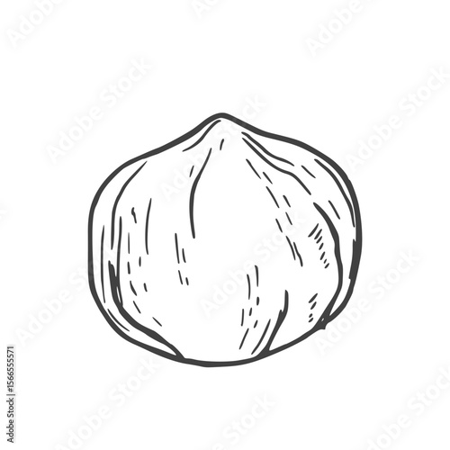 Hazelnuts hand drawn ink vector illustration. Whole and cut hazelnut kernels and nuts in shell.