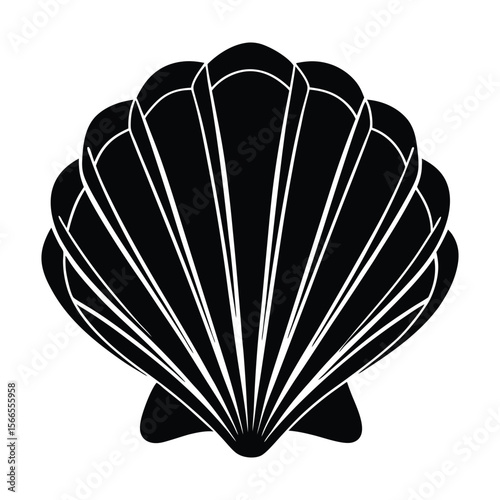 a black and white illustration of a shell.