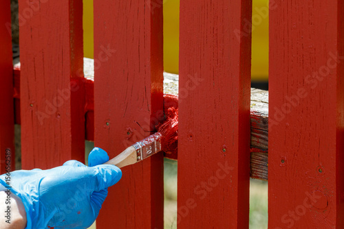Fototapeta Painting Red Wooden Fence with Brush and Glove