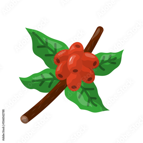 Coffee plant icon. coffee, plant, bean, leaf, agriculture, farm, organic, crop. Vector Icon Illustration
