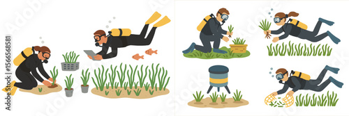 Marine conservation efforts focus on underwater plant cultivation and restoration activities by divers in a vibrant ecosystem