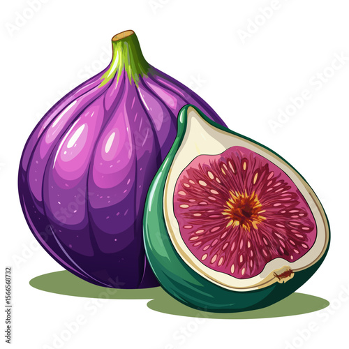 Fresh Ripe Fig Fruit Vector PNG - Whole and Half Cut Isolated Illustration