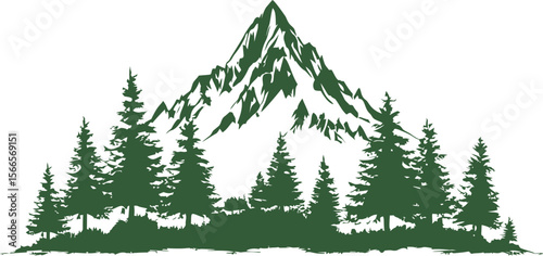Silhouette of a green forest with tall pine trees and a majestic mountain peak