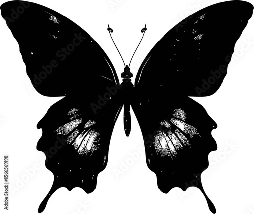 Detailed black and white butterfly silhouette with intricate wing patterns