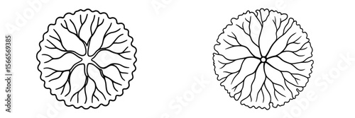 Intricate line art of decorative floral designs showcasing unique patterns and symmetry in black and white