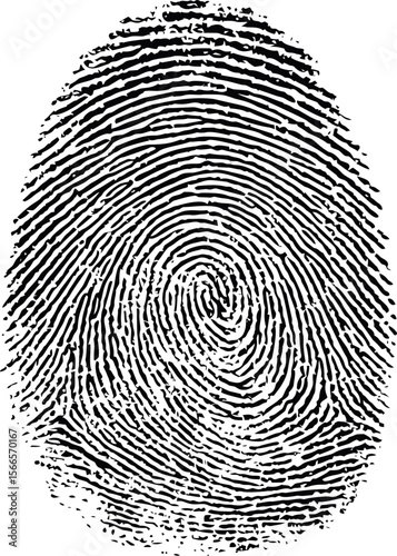 Detailed black and white fingerprint illustration