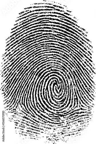 Black and white fingerprint pattern with detailed spiral lines