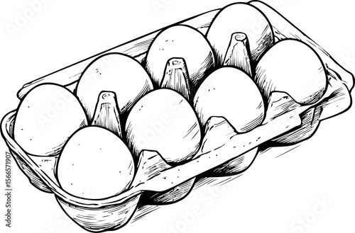 Six eggs in a carton drawn in black and white illustration