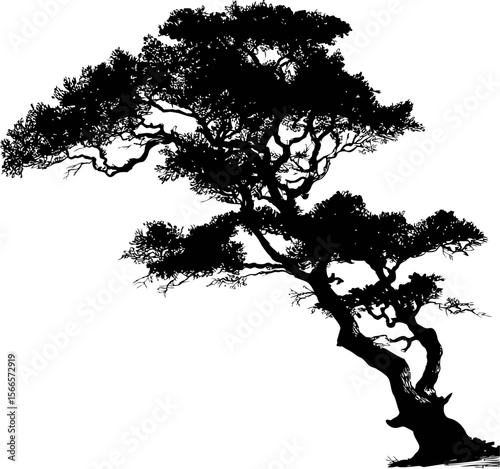 Silhouette of a sprawling bonsai tree with intricate branches, black and white art