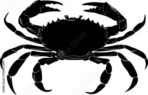 Black silhouette of a crab with detailed claws and legs