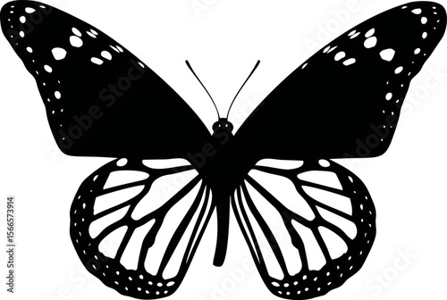 Black silhouette of butterfly with detailed wings