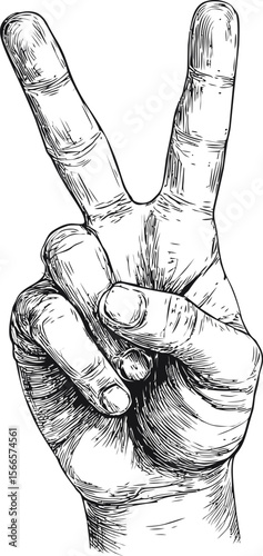 Illustration of hand showing a peace sign with detailed line art