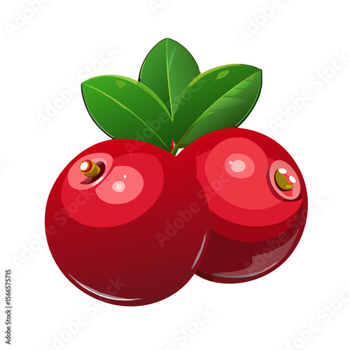 Cranberry PNG Vector Isolated Realistic Fruit with Glossy Texture