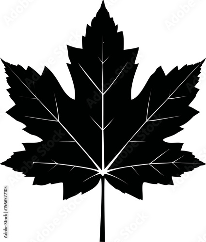 Black silhouette of detailed maple leaf, vector illustration