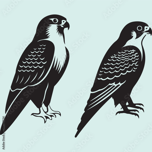 Peregrine Falcon Silhouette Set Majestic Bird of Prey Vector