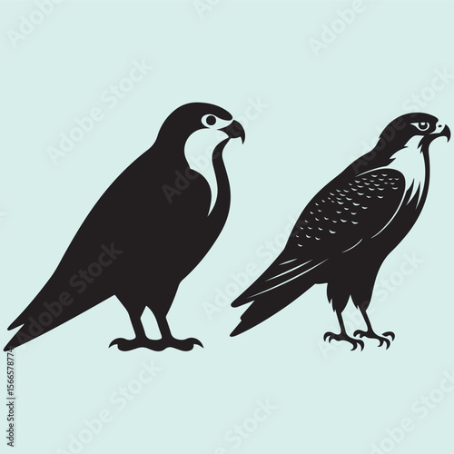 Flying Peregrine Falcon Silhouette Bird Wildlife Collection