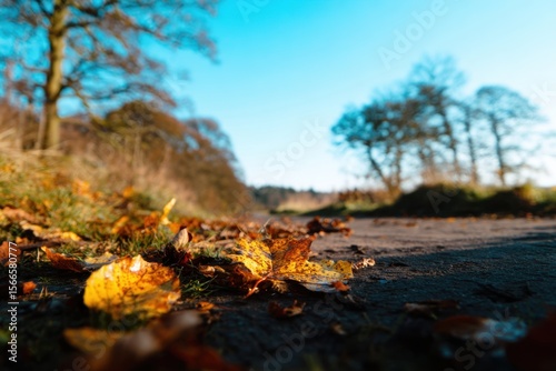 A Symphony of Fall Leaves in a Blurred Forest Backdrop