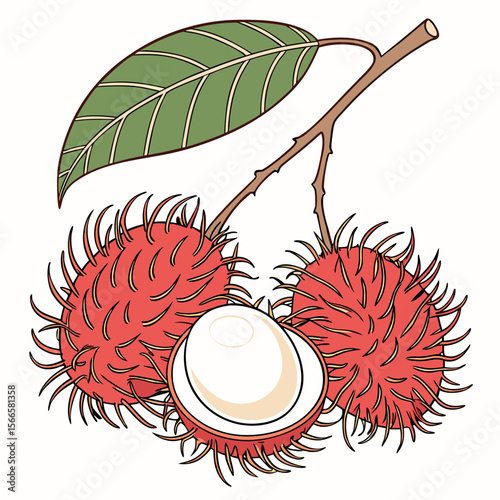 Wild Charm: Rambutan’s Tropical Allure on White Background”