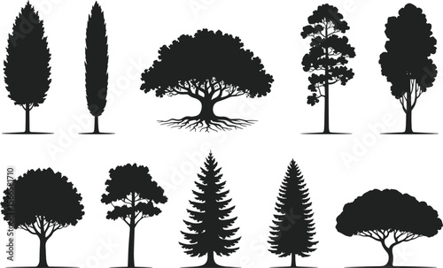 Tree silhouette collection, black tree icons, vector forest clipart, isolated tree shapes, nature elements, evergreen and deciduous trees, landscape design art flat vector illustration