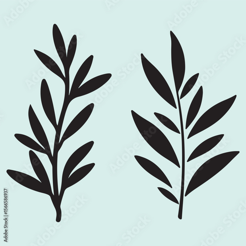 Spice Rosemary Silhouette Set Aromatic Herb Vector Collection