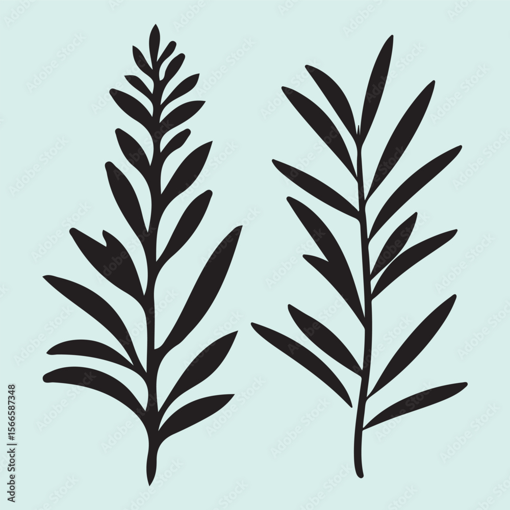 Fototapeta premium Herbal Rosemary Silhouette Collection for Kitchen and Wellness Graphics