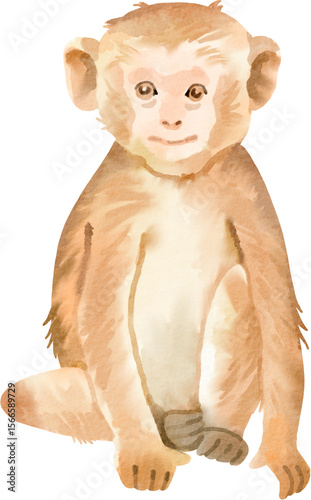 Sticker monkey watercolor