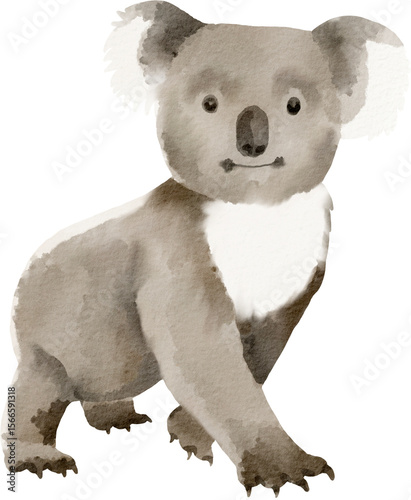 Canvas Print watercolor koala