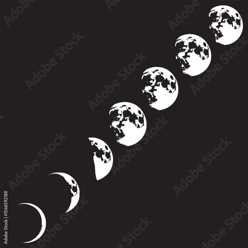 Moon phases cycle lunar calendar astronomy celestial events space exploration science education resource guide on transparent background