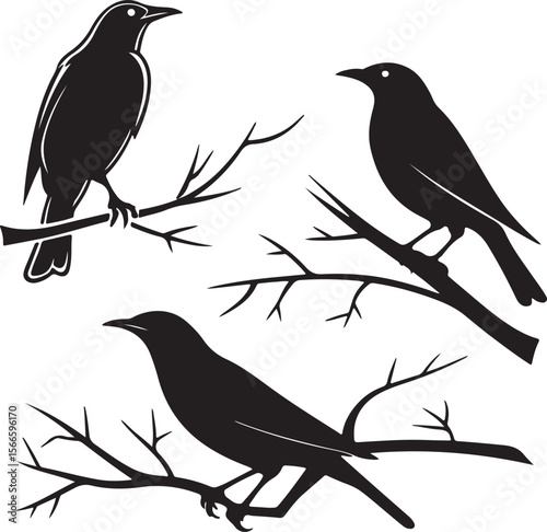 Bird Silhouette Vector Icon Design – Flying Animal Outline Graphic for Nature and Wildlife Themes