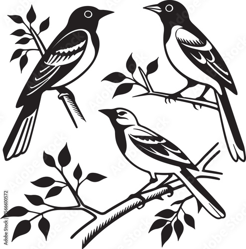 Bird Silhouette Vector Icon Design – Flying Animal Outline Graphic for Nature and Wildlife Themes
