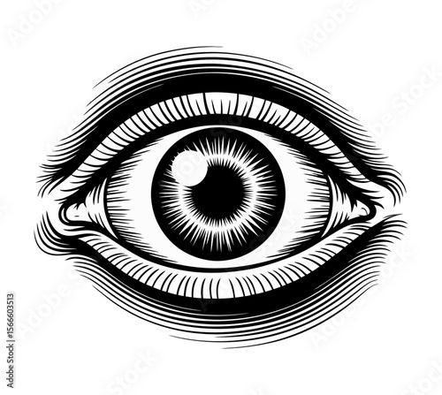 Intricate Line Art Eye Illustration Vintage Style Black and White Human Eye Drawing