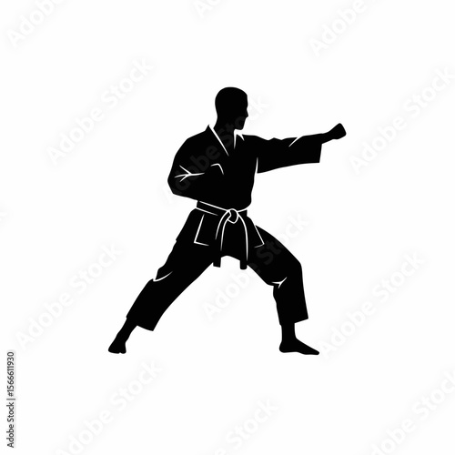 silhouette of a karate man