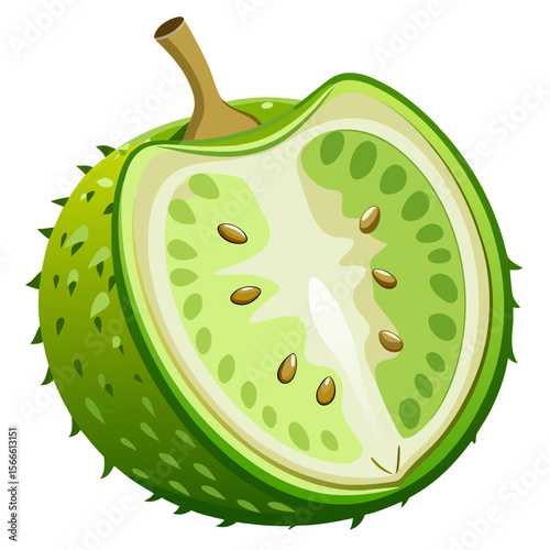 Soursop Fruit Vector PNG - Realistic Tropical Fresh Fruit Illustration