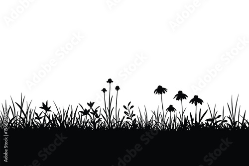 Black Silhouette of Wildflowers and Grass on White Background