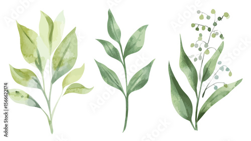 Wallpaper Mural Watercolor illustration of lily of the valley flowers on a white background, delicate and detailed floral artwork capturing soft white bell-shaped blooms, fresh green leaves Torontodigital.ca