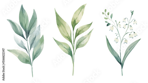 Watercolor illustration of lily of the valley flowers on a white background, delicate and detailed floral artwork capturing soft white bell-shaped blooms, fresh green leaves