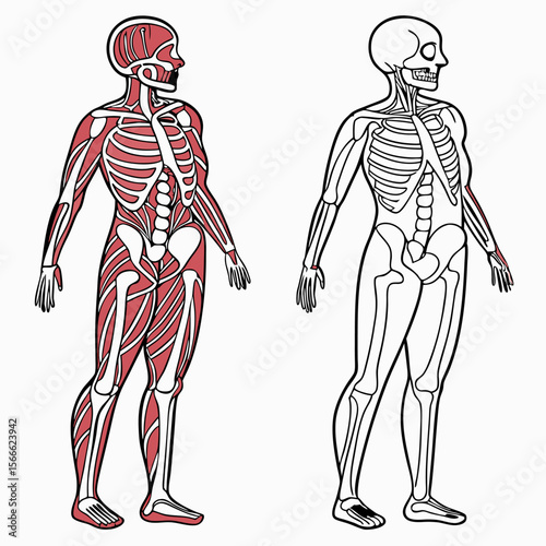 illustration of a man in a digital art