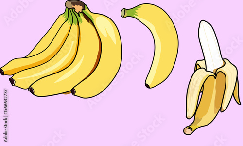 vector illustration of bananas set