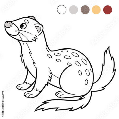 vector illustration of ferret coloring page