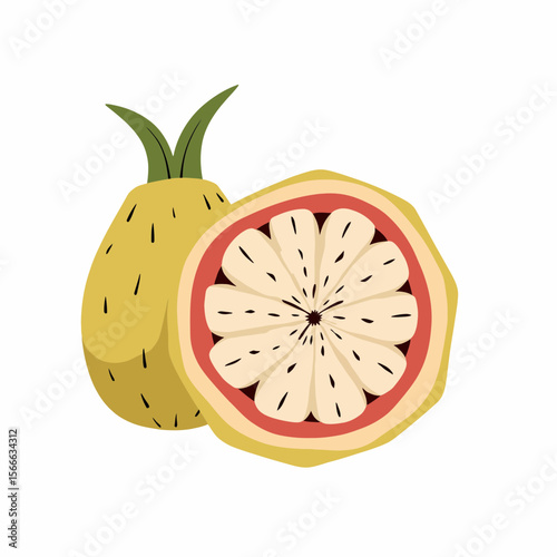 Whole and sliced guava fruit on white background  