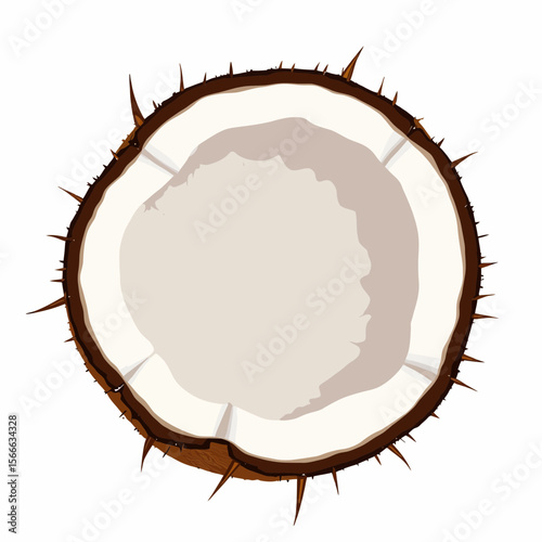 Coconut half with textured shell and creamy interior  