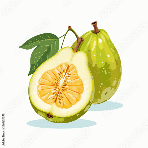 Fresh green guava with cut fruit showing juicy interior  